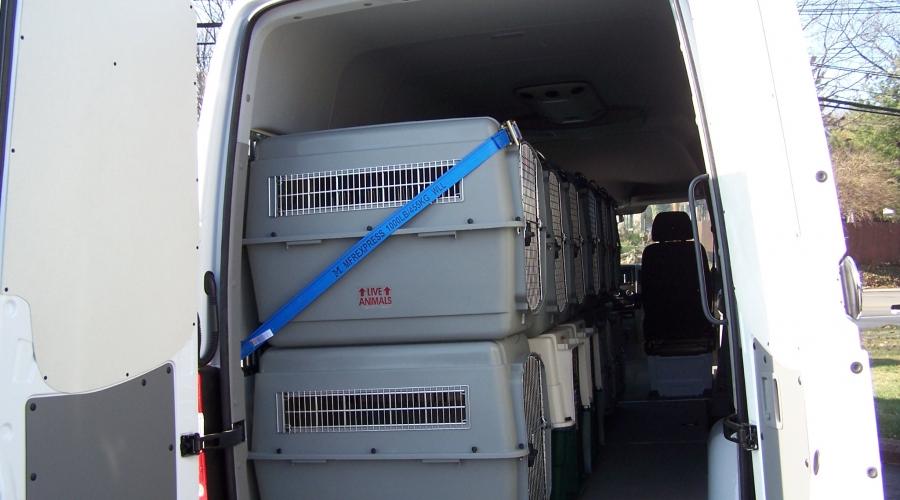 animal transporter animal transporter